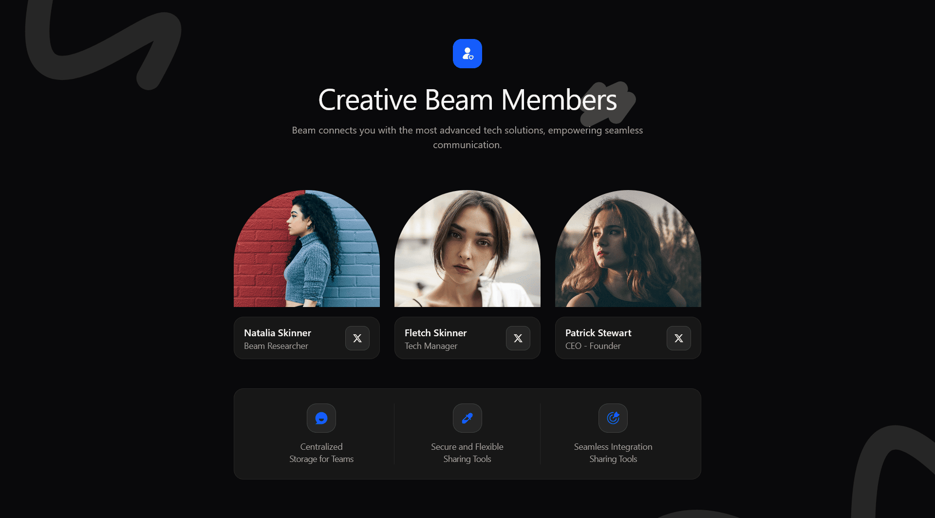 team-1 section preview