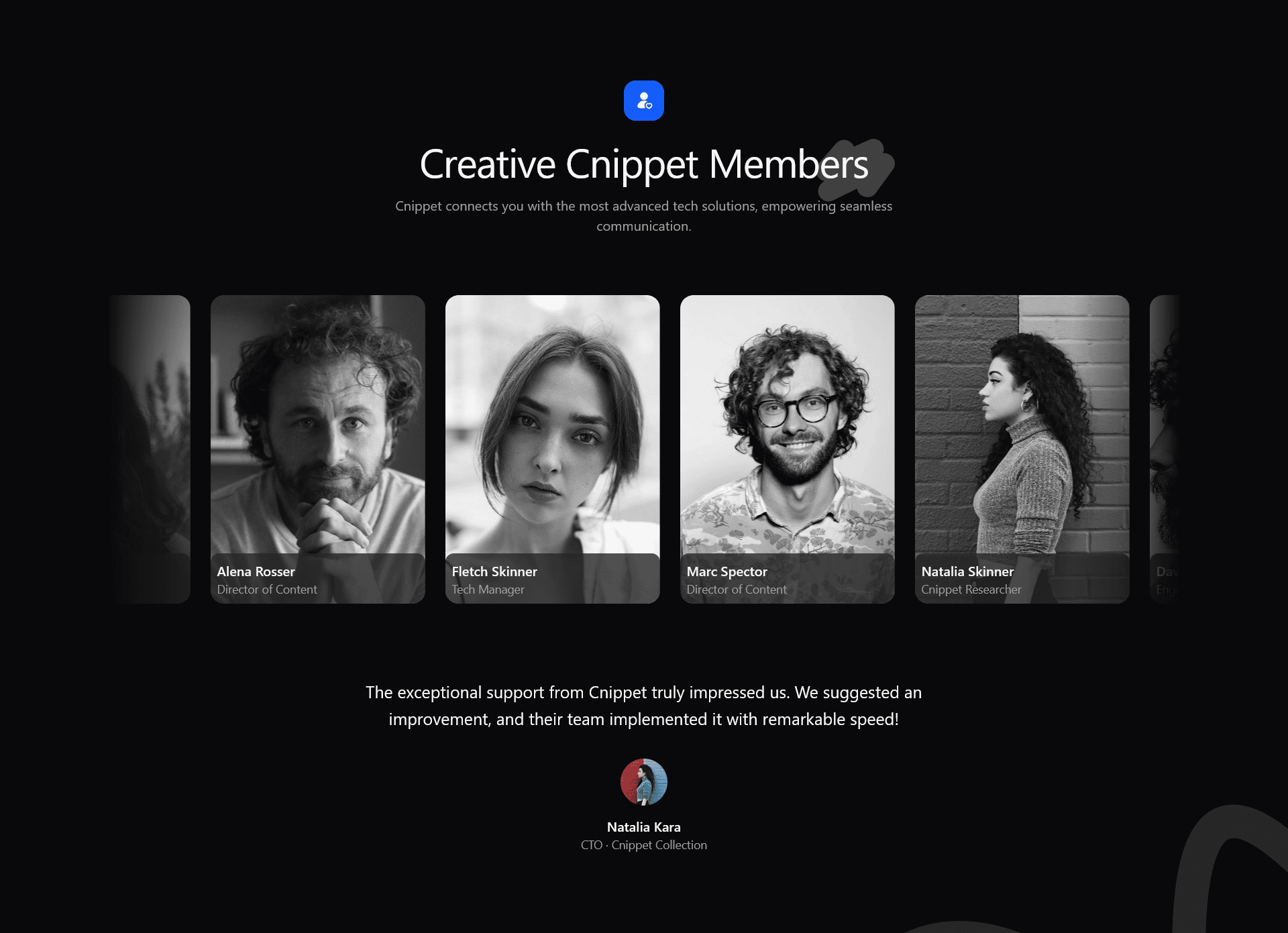 team-2 section preview